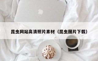 海丰昆虫网站高清照片素材（昆虫图片下载）